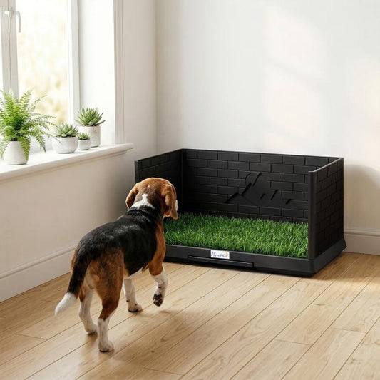 Dog grass potty tray with raised walls and drain tray, placed indoors with puppy