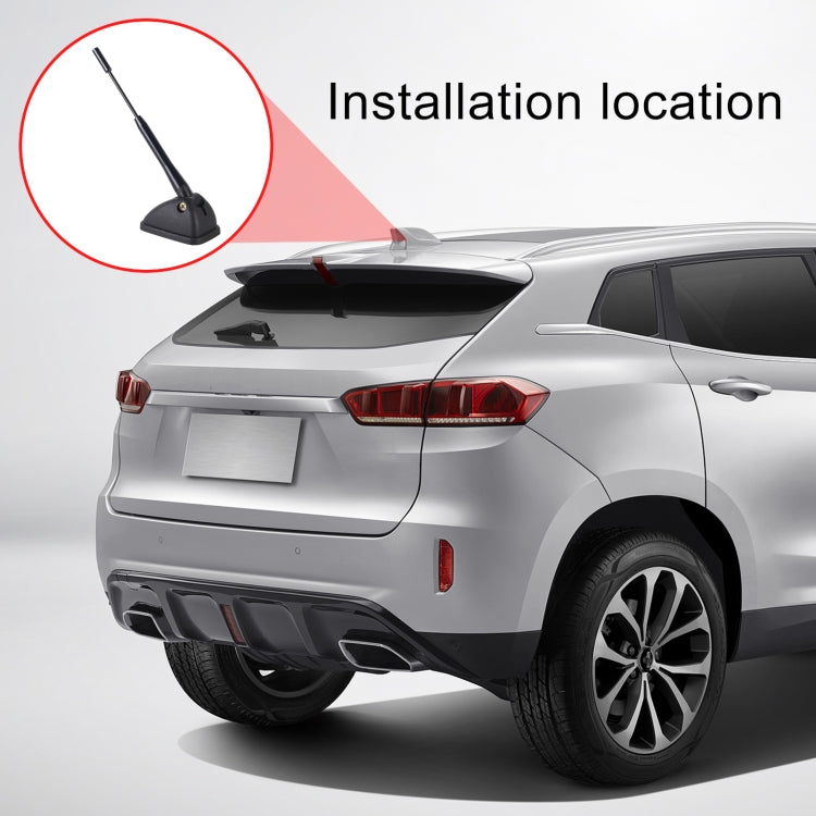 Car roof installation location with antenna mast shown in inset