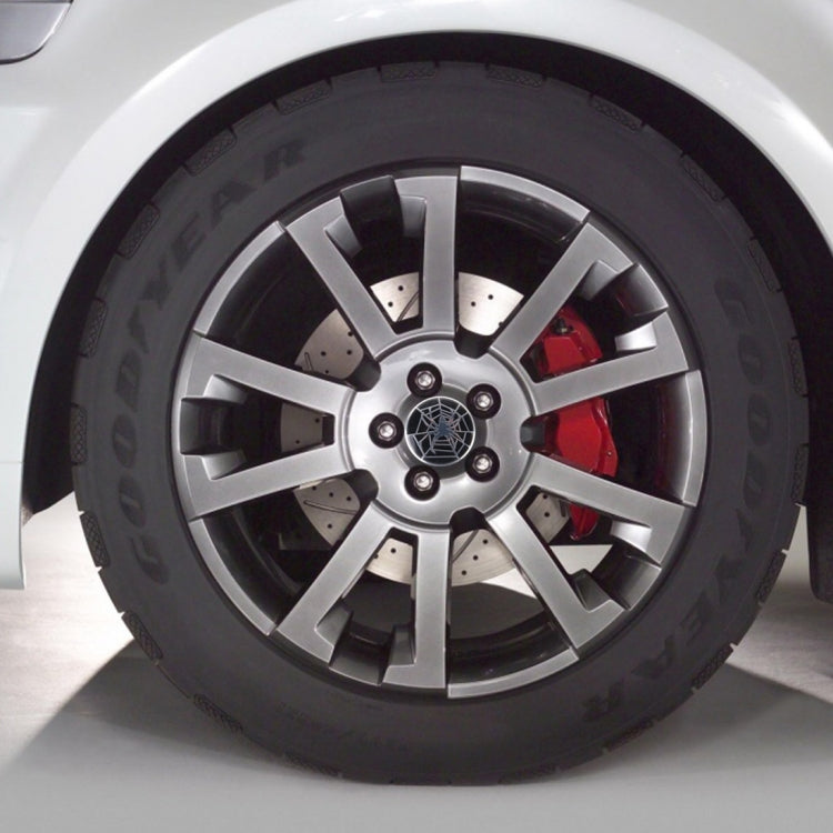 Wheel hub center cover: round black cap with silver spider web spider design