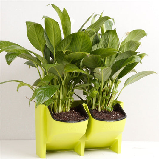 Plant Wall Vertical Indoor and Outdoor Balcony Wall-mounted Flower Pots Creative Combination of Resin Plastic Flower Pots with Removable Pot