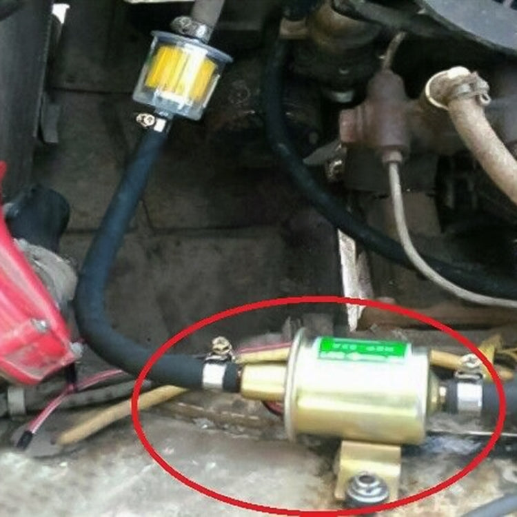 Inline electric fuel pump installed under hood, circled near hoses and wiring
