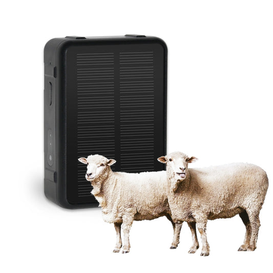 V44 Solar Energy Waterproof Cattle and Sheep GPS Tracker, V44 GPS Tracker