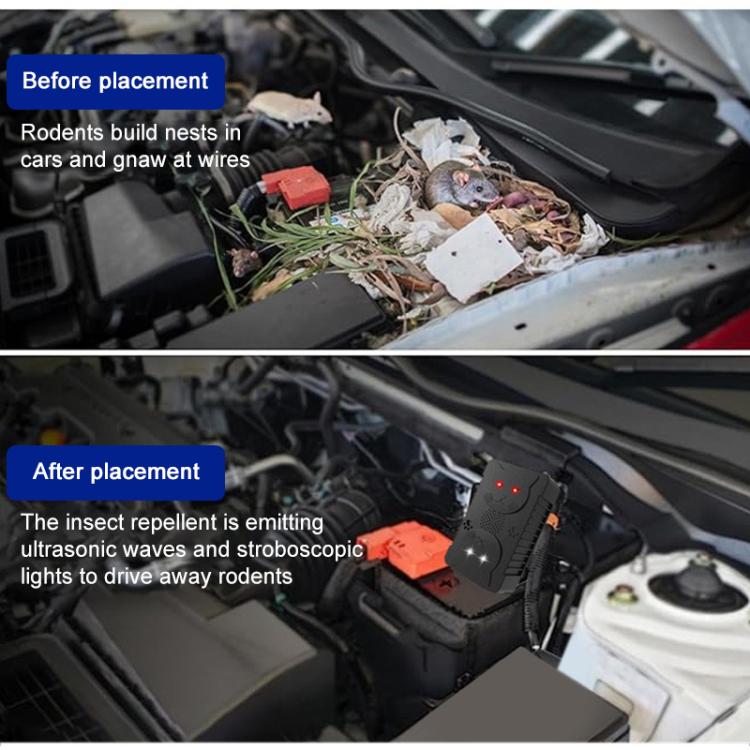 EDA008330201A_6.jpg@cd9ba1e8e48da985a3a58fa32f37a235