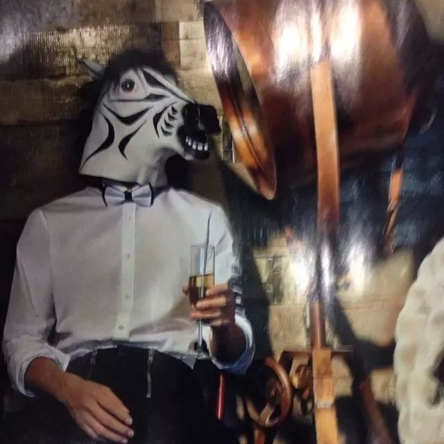 Zebra horse head mask worn with black mane and zebra stripe face; black muzzle