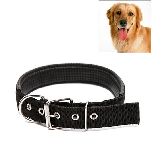 Black pet collar with silver buckle and D-ring, adjustable strap with metal grommets.
