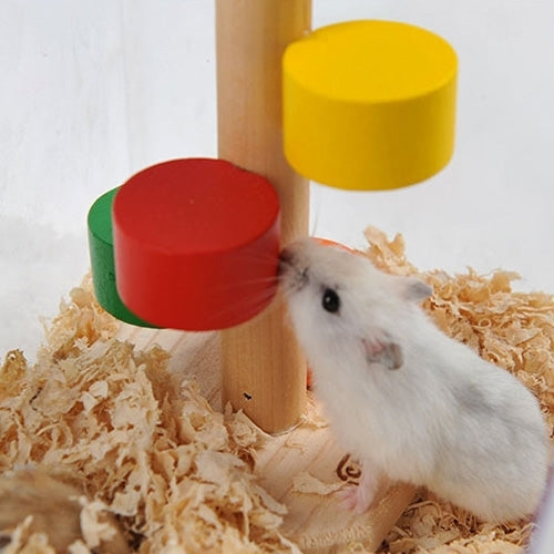 White hamster near colorful wooden ladder steps on shredded bedding