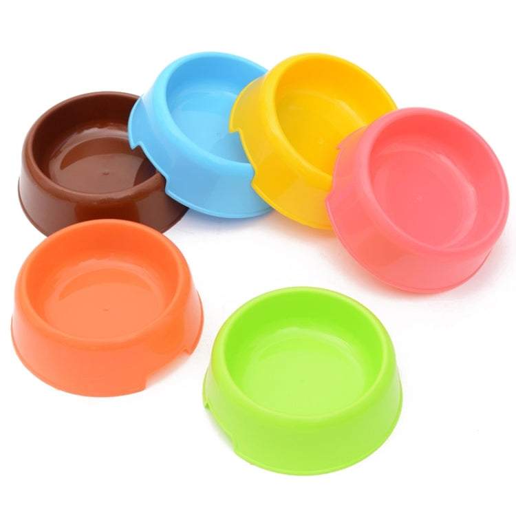 Colorful plastic pet food bowls: blue, yellow, pink, orange, green, brown