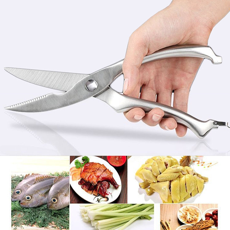 Stainless steel poultry and fish bone shears held by hand, side view with blades
