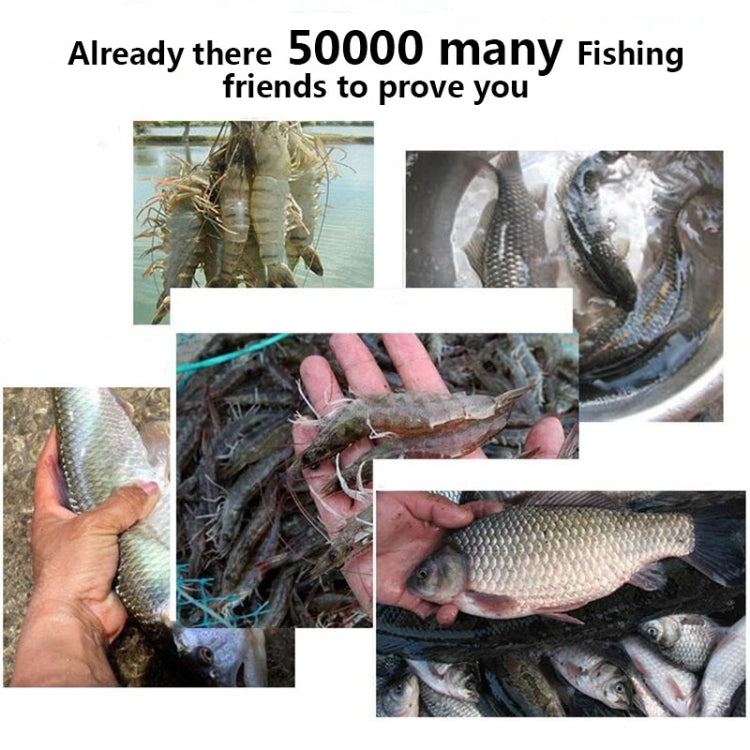 Assorted fresh fish and shrimp as a catch beside the fishing trap