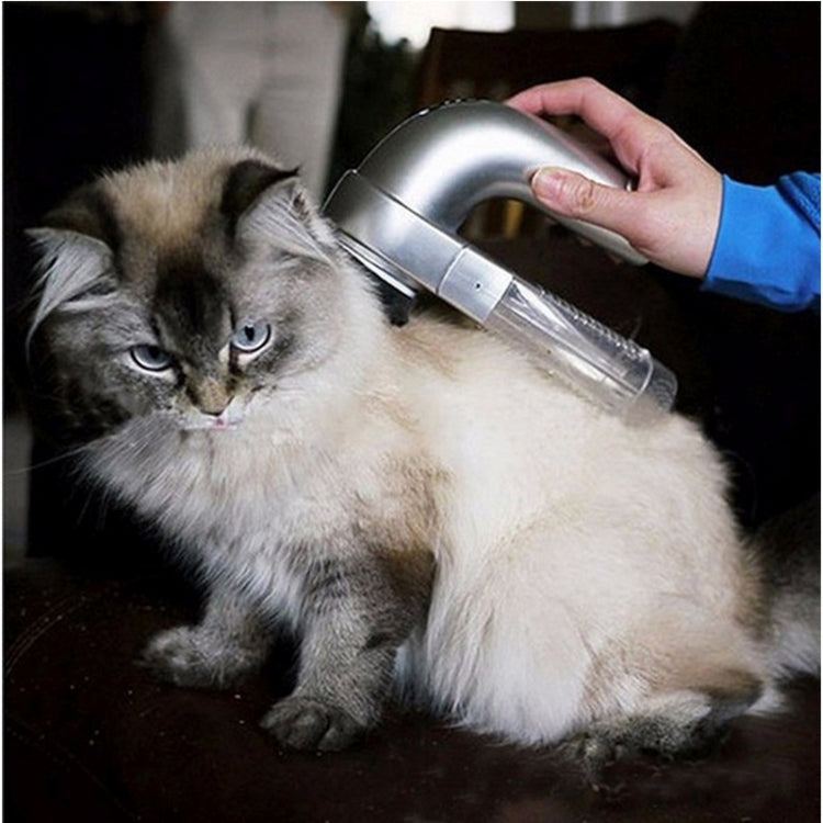 Portable pet hair suction grooming device used on light gray cat, clear dust cup