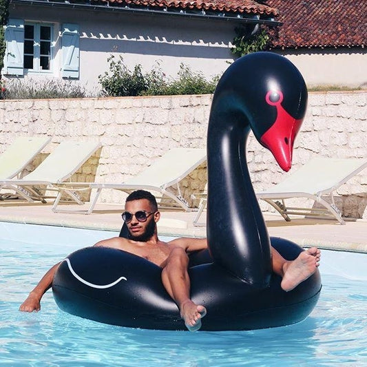 Swan Shaped Inflatable Floating Swimming Safety Pool Ring, Inflated Size: 110cm, 110cm Swan Black, 110cm Swan White