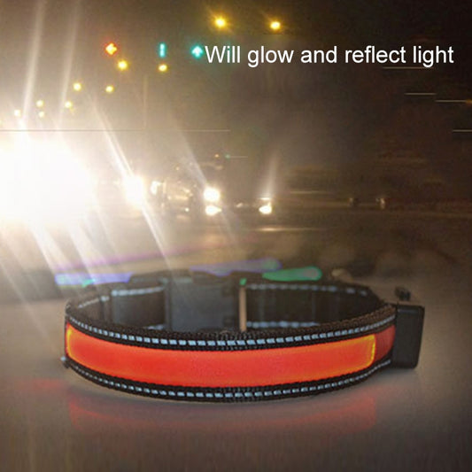 Orange and black LED dog collar glowing, with reflective strap for visibility