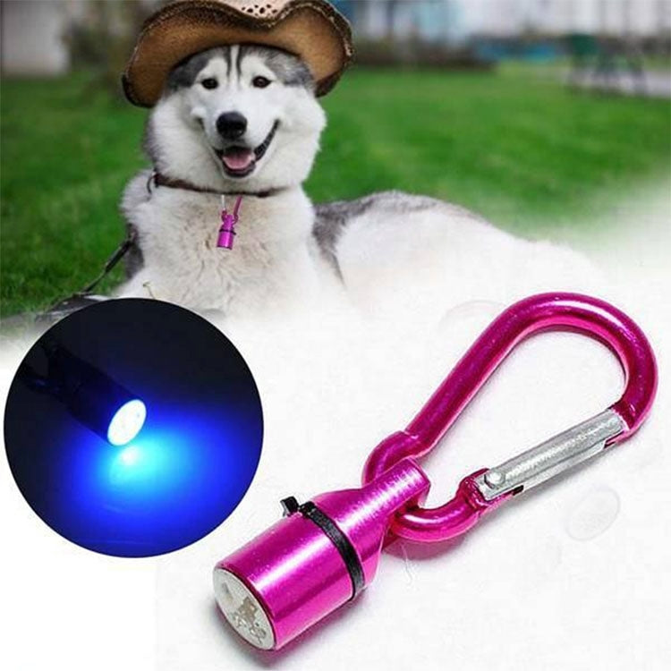 Dog wearing purple LED flashing safety pendant; metal clasp with glowing light