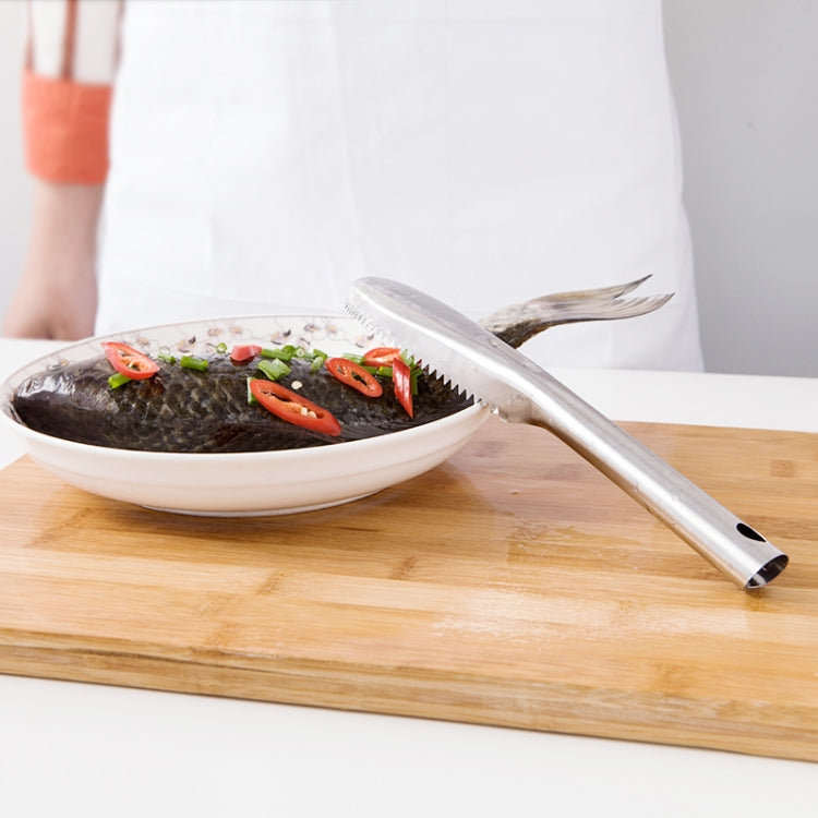 Kitchen Essential Stainless Steel Bidirectional Sawtooth Fish Scraper Fish Scale Planing Knife, 22.5x3cm