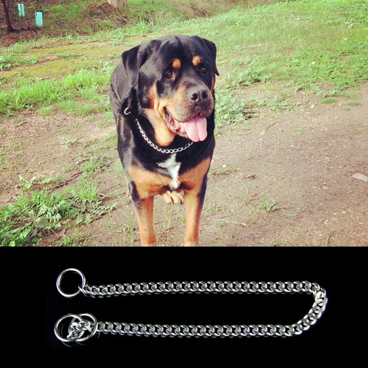 Silver snake-chain dog collar with O-ring and short chain loop, 70cm length
