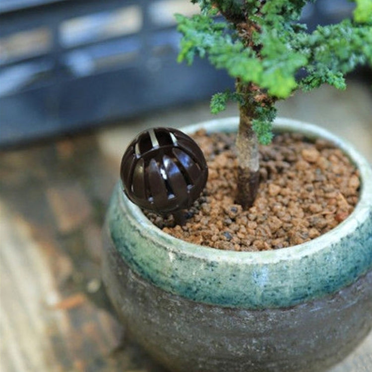 Bonsai fertilizer dispenser tool in potted plant, black cage head