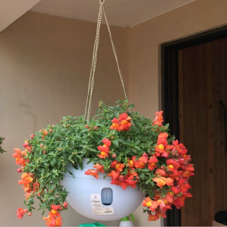 Large hanging white flower pot with chain, filled with bright orange and red blossoms