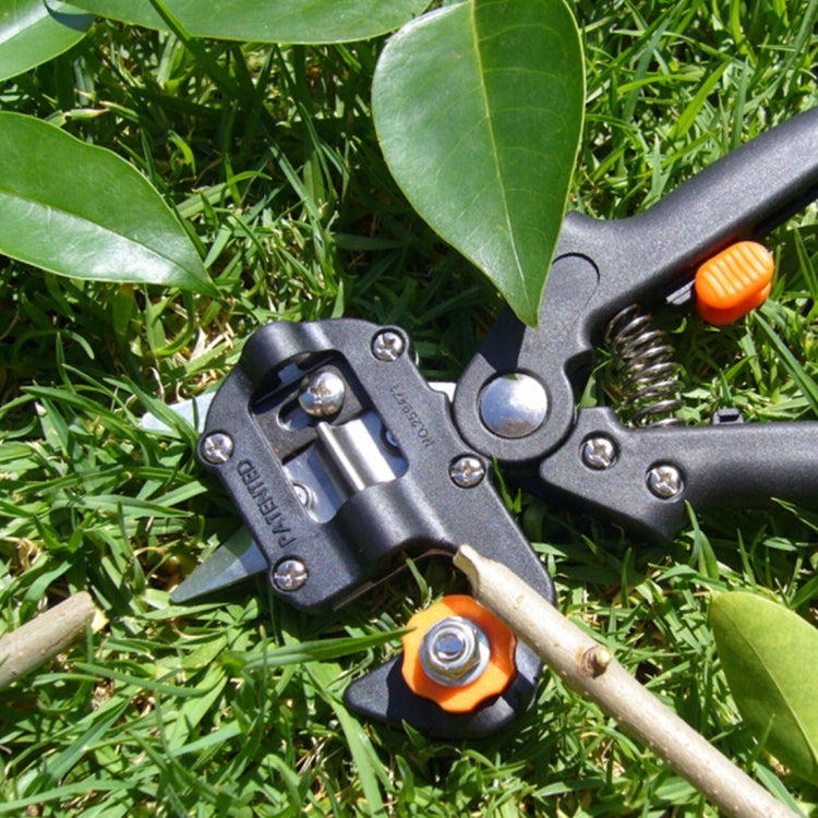 Black grafting tool applying blade to a stem on grass, orange adjustment knob visible