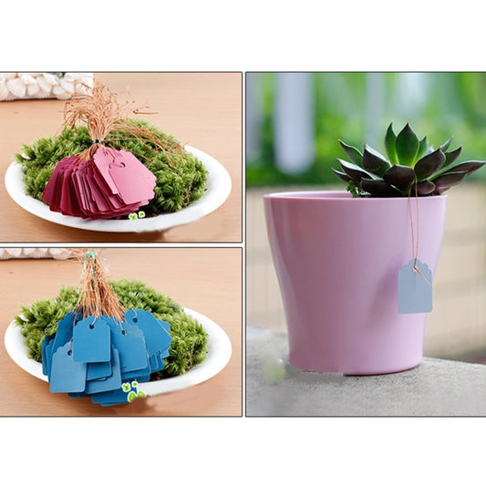 100 PCS Waterproof Durable and Reusable Plastic Nursery Garden Plant Label Flower Tag Mark Plant Tag Labels, Random Color Delivery, Plant Label 1
