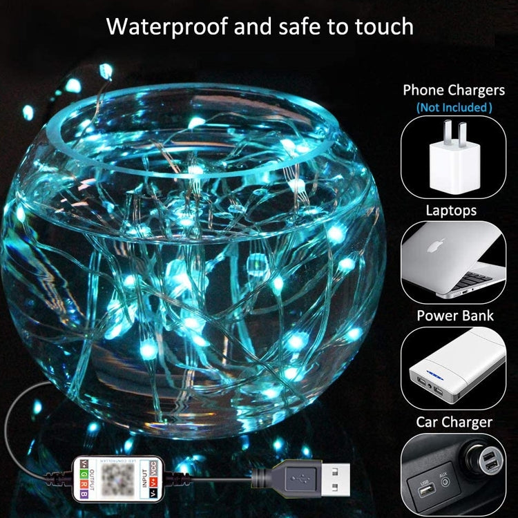 Waterproof RGB copper wire string lights with clear bulb housing and USB controller plug