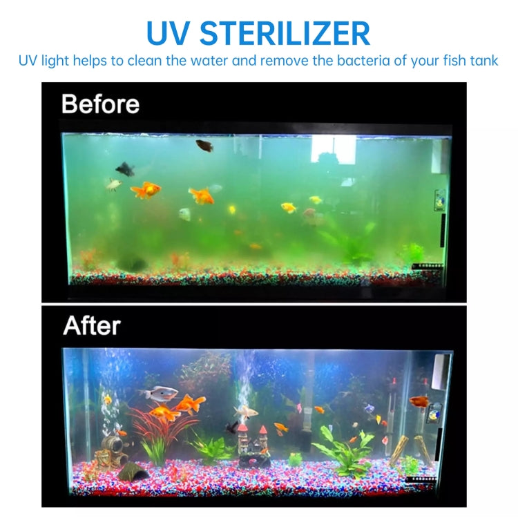 Aquarium tank before-and-after view with UV lamp for clearer water