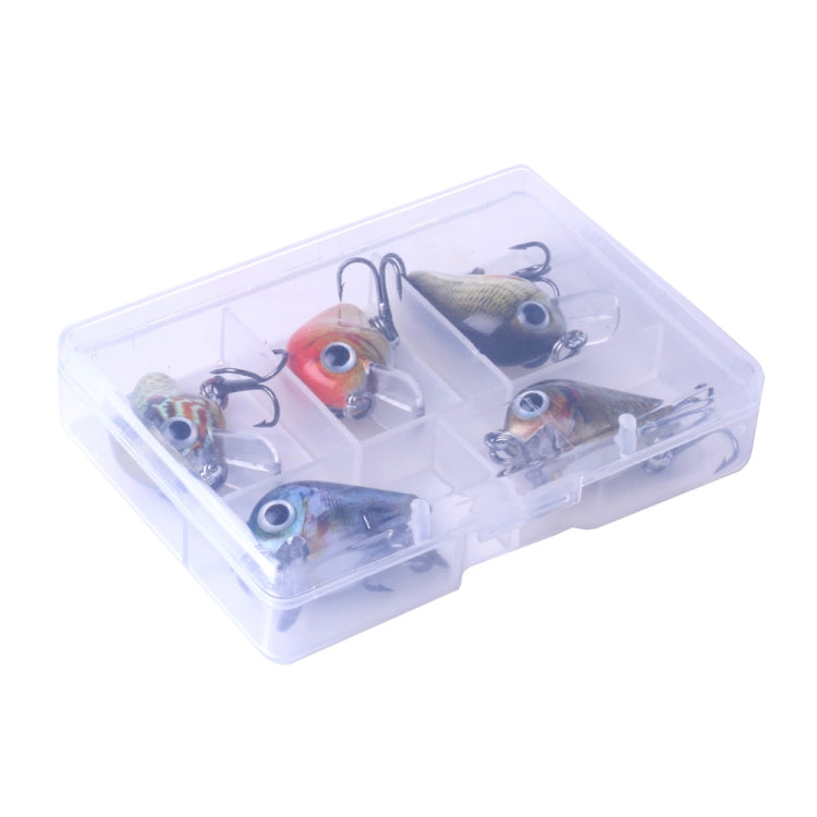 Clear plastic tackle box containing five crankbait lures with treble hooks