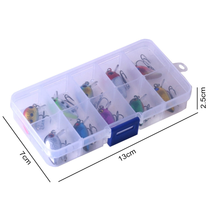 Clear plastic tackle box of fishing lures with visible size measurements