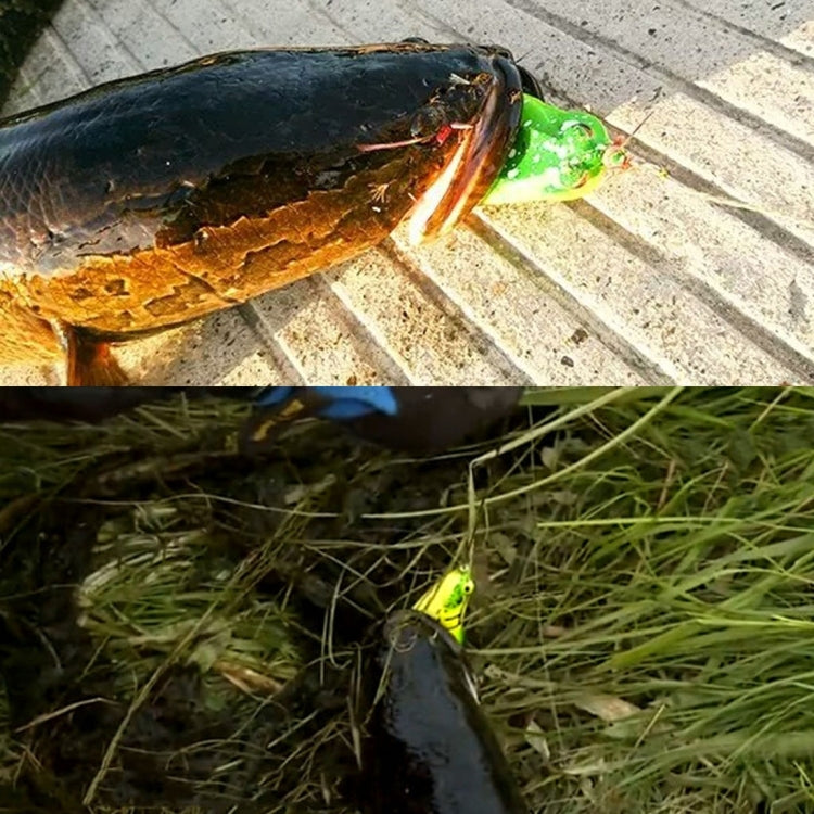 Soft green frog lure hooked on a fish on the ground near grass