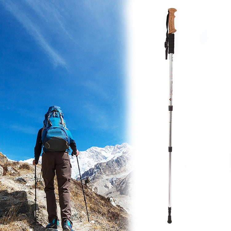 Silver aluminum trekking pole with black grip, wrist strap, and adjustable sections.