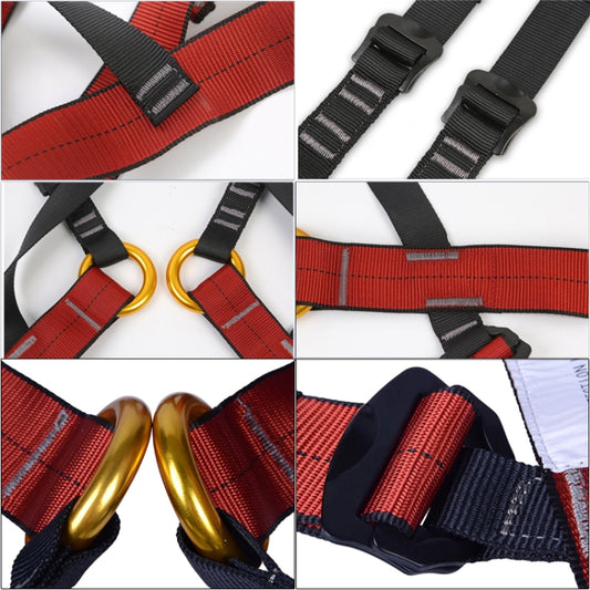 Red-and-black safety harness webbing with adjustment buckles and gold front rings.