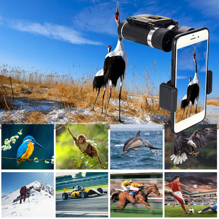Night vision binocular telescope with smartphone holder showing outdoor wildlife images