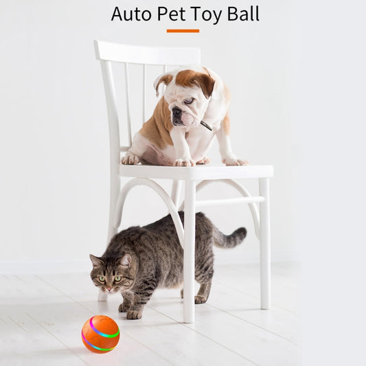 Auto pet toy ball in use with a dog and a cat near the ball