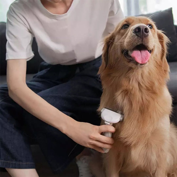 Pet hair removal comb used on a dog’s coat by hand