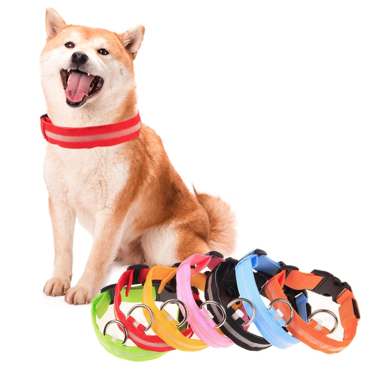 Dog wearing a red collar with multicolor adjustable LED flashing dog collar set in view
