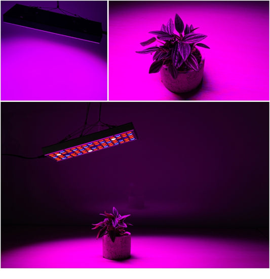 Hanging LED grow light with purple illumination over a potted plant
