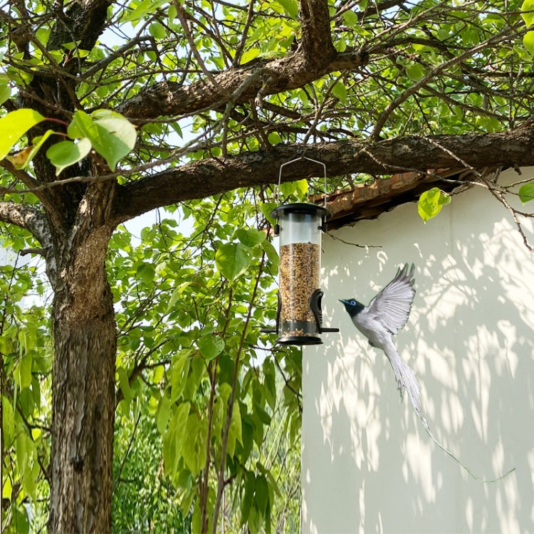 Hanging bird feeder with seed-filled clear tube and metal hanger, birds on perch