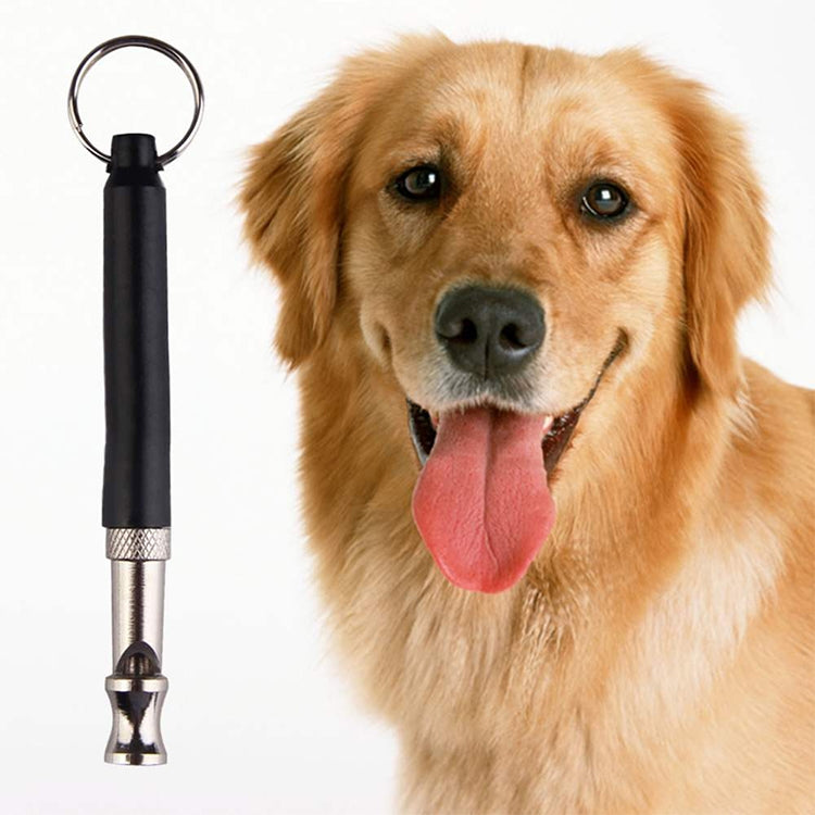 Ultrasonic dog training device beside golden dog, black body with silver nozzle