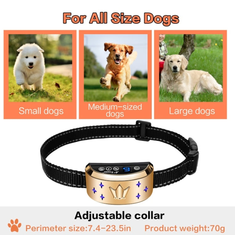 Adjustable black strap electronic dog collar with gold crown pattern and blue display