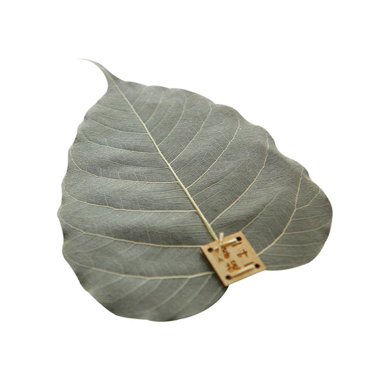 Creative Personality Natural Bodhi Leaf Filter Tea Leak, Bodhi Leaf
