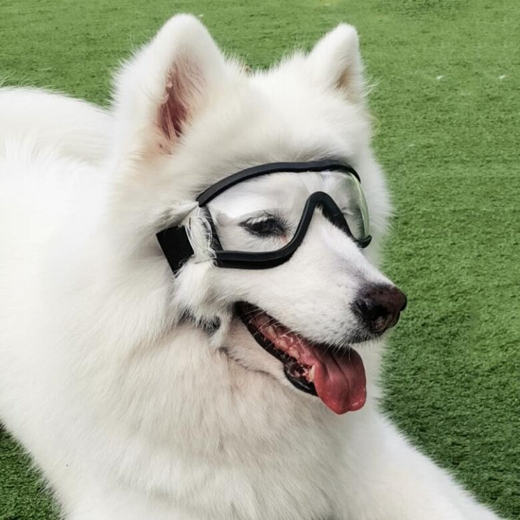White dog wearing protective goggles with transparent lenses and black frame, side view