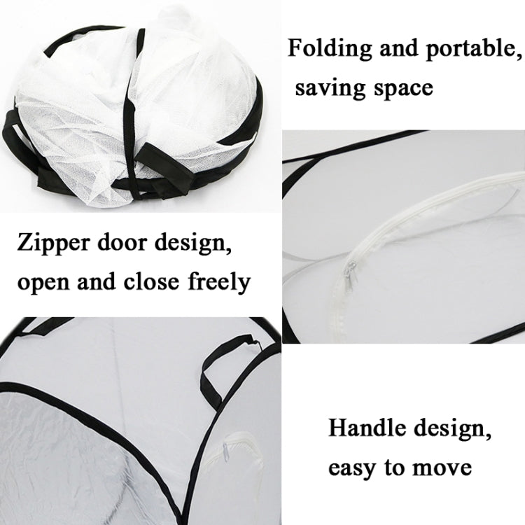 TBD05721459_3.jpg@380f636e08ed7f5076766d21ed318900