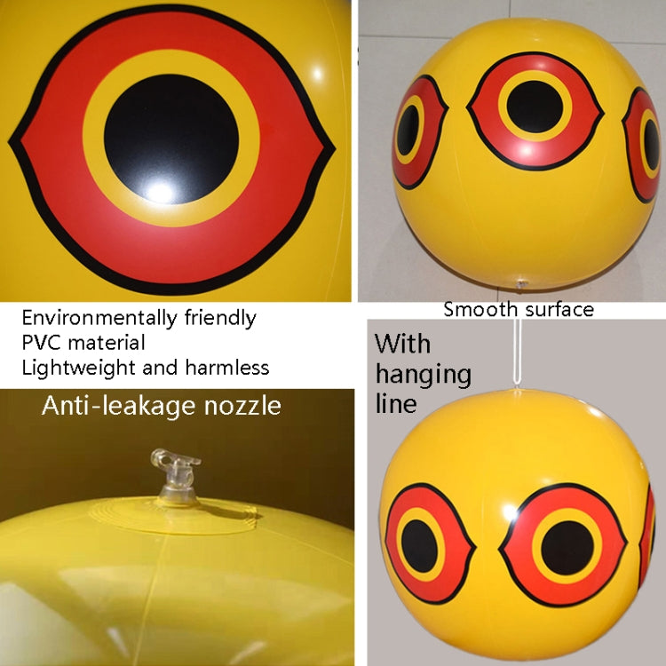 TBD0572146101_B3.jpg@9b81ac76bd742544ff40fb1c606666e8