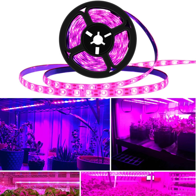 TBD0572187206_B6.jpg@d4f23d0278242303d4ac6cbce704ecdf