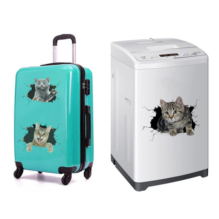3D cat head car decal set with crackle scratch effect, on teal and white surfaces