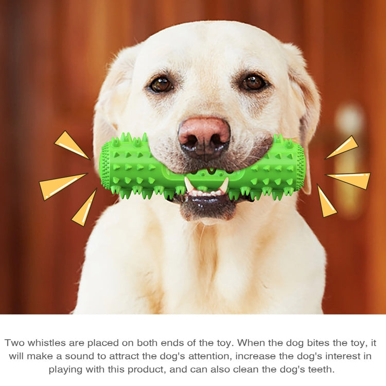 White dog chewing a green spiked dental chew toy with end whistle openings