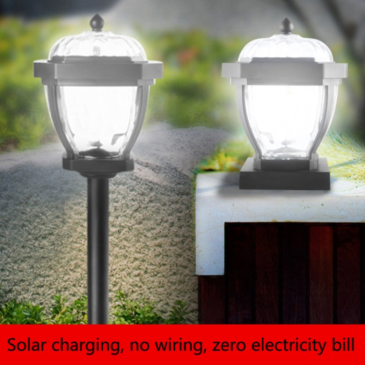 Two black solar garden stake lights with glowing clear lantern heads on path