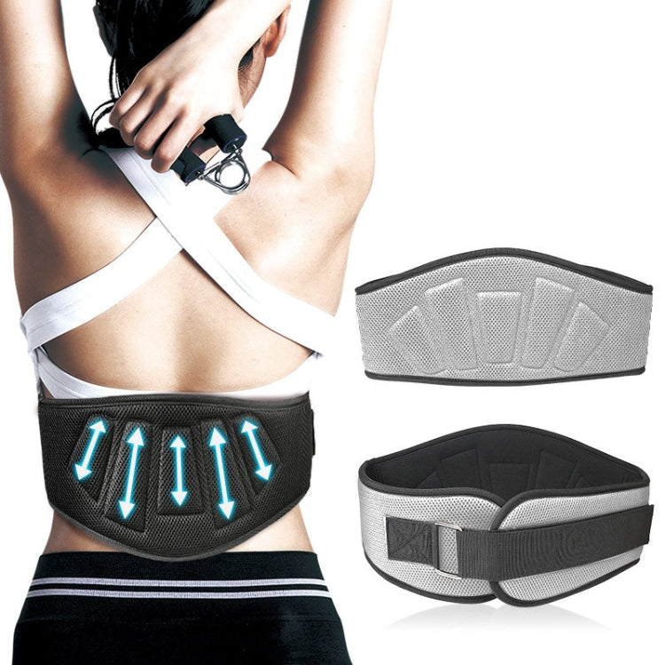 Adjustable waist support belt with padded core and buckle, shown in black and grey