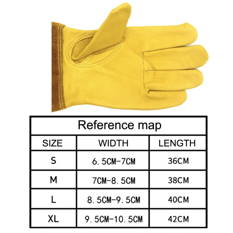 Glove sizing chart with width and length for S, M, L, XL