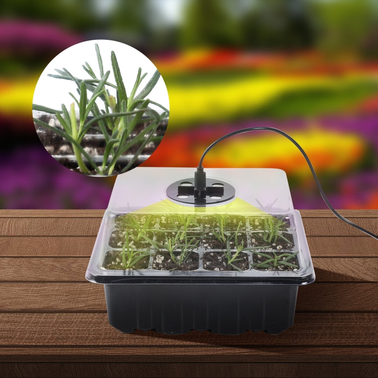 Seedling starter tray with clear humidity dome and green sprouts under a grow light