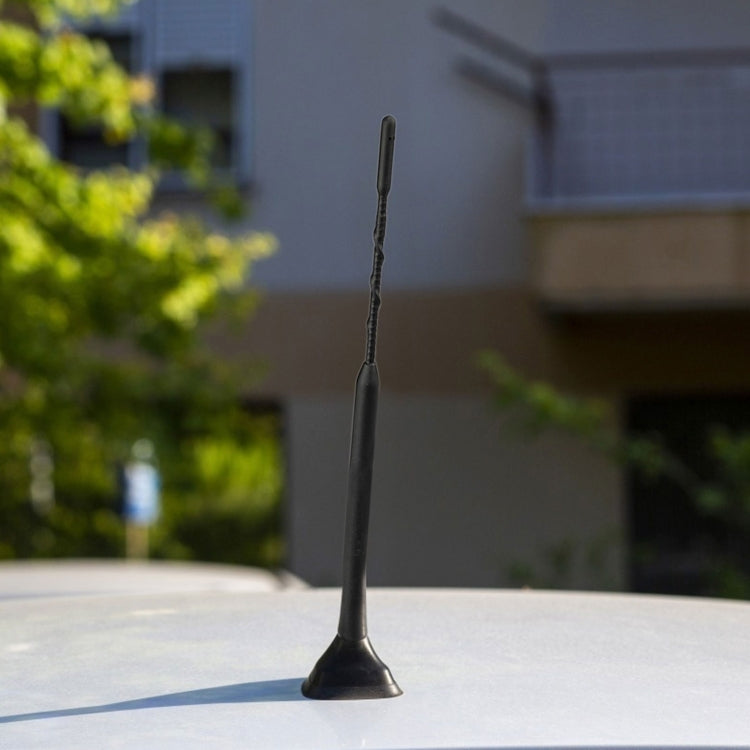 Black car roof antenna mast standing on roof surface with circular base